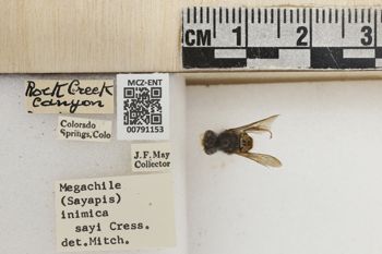 Media type: image;   Entomology 791153 Aspect: Labels